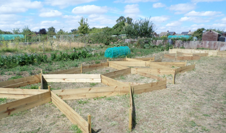 Leader champions benefits of allotments during National Allotment Week and pledges no sell offs