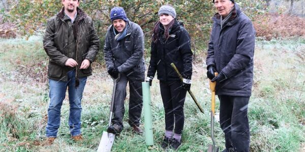 Four people planting trees on a nature reserve in the snow