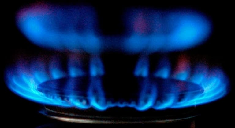 Blue gas flames from a cooker hob
